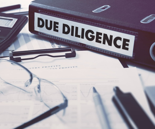 Due Diligence